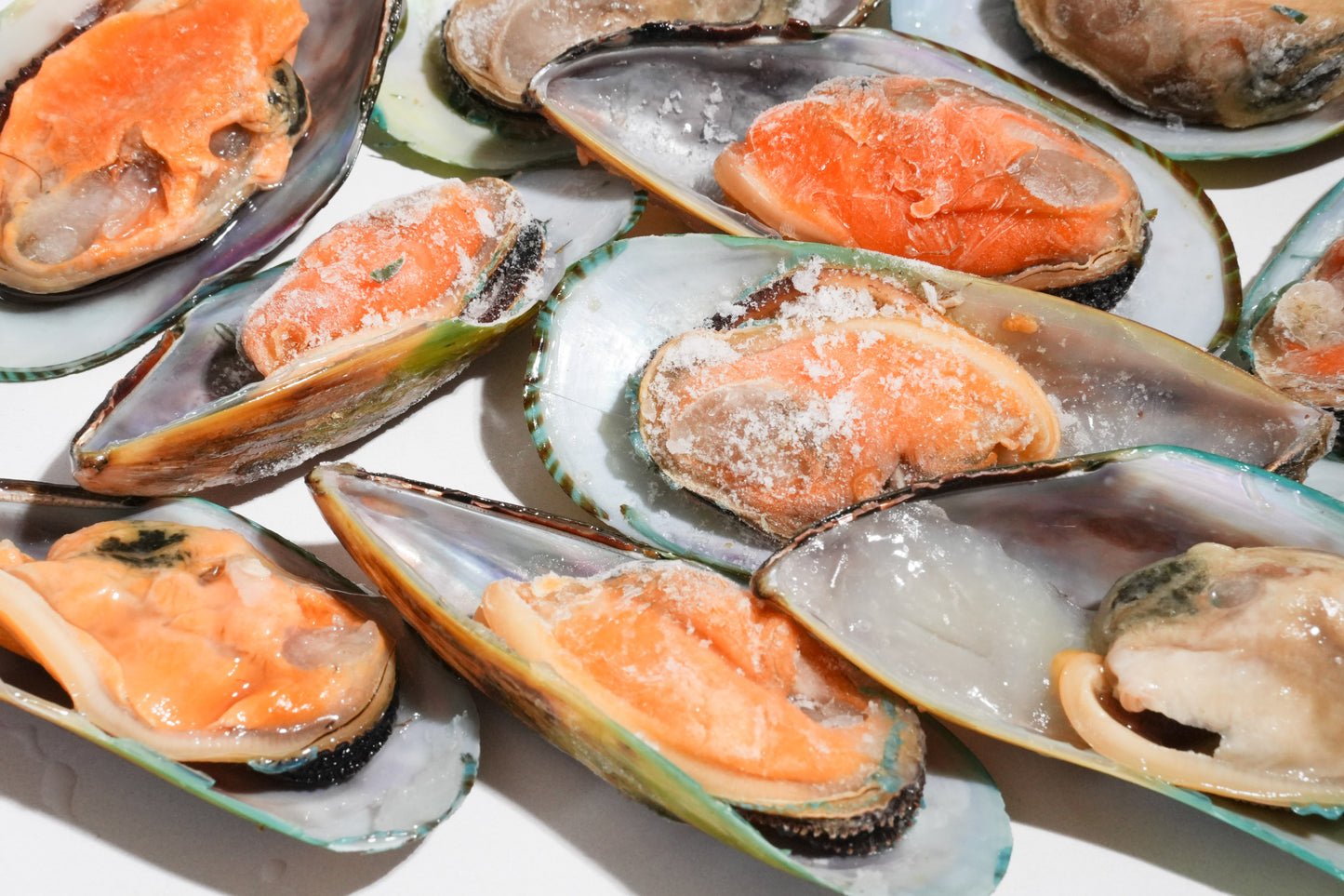 New Zealand Greenshell Frozen Mussels 新西兰半壳熟冻青口贝