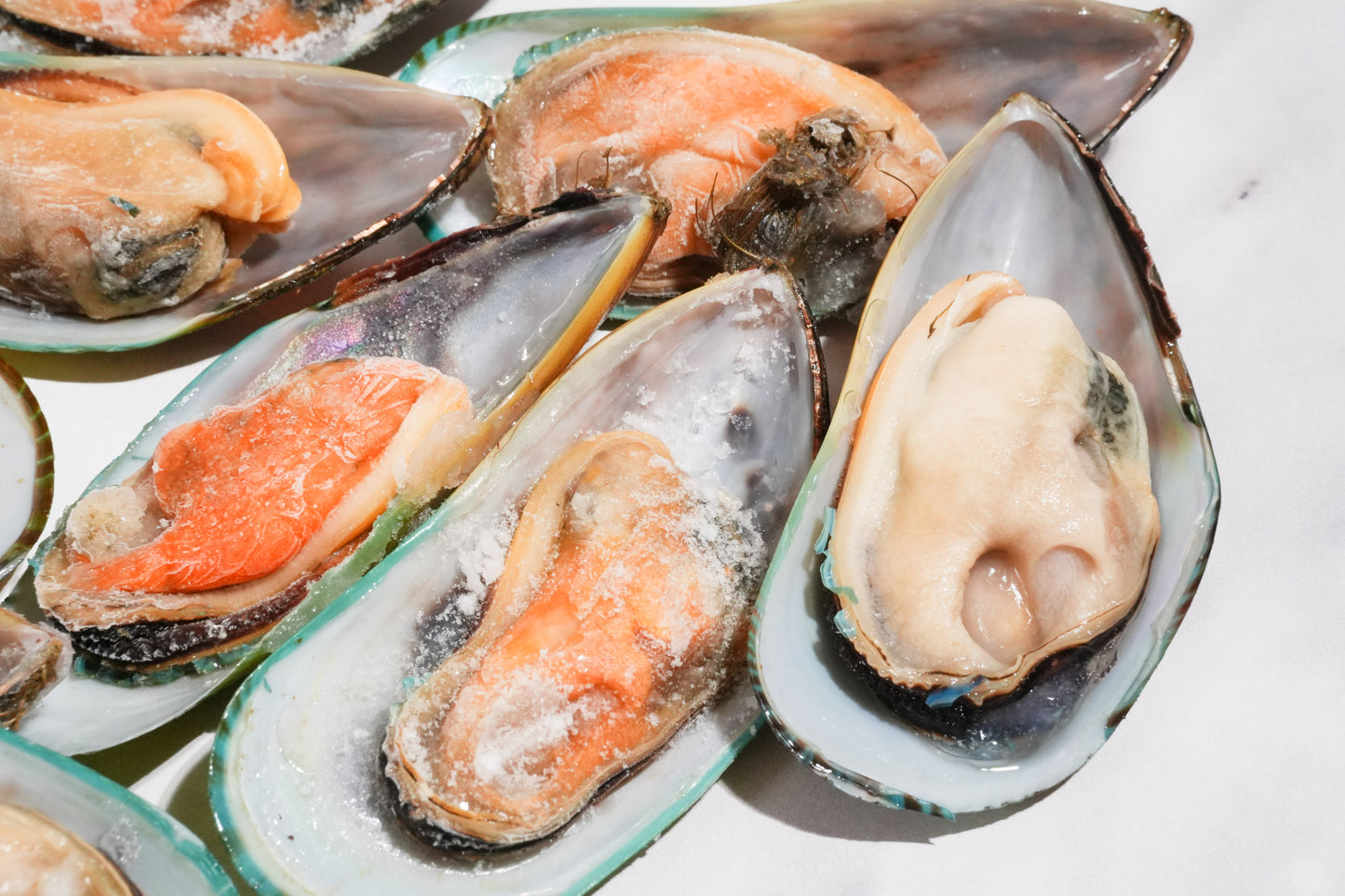 New Zealand Greenshell Frozen Mussels 新西兰半壳熟冻青口贝