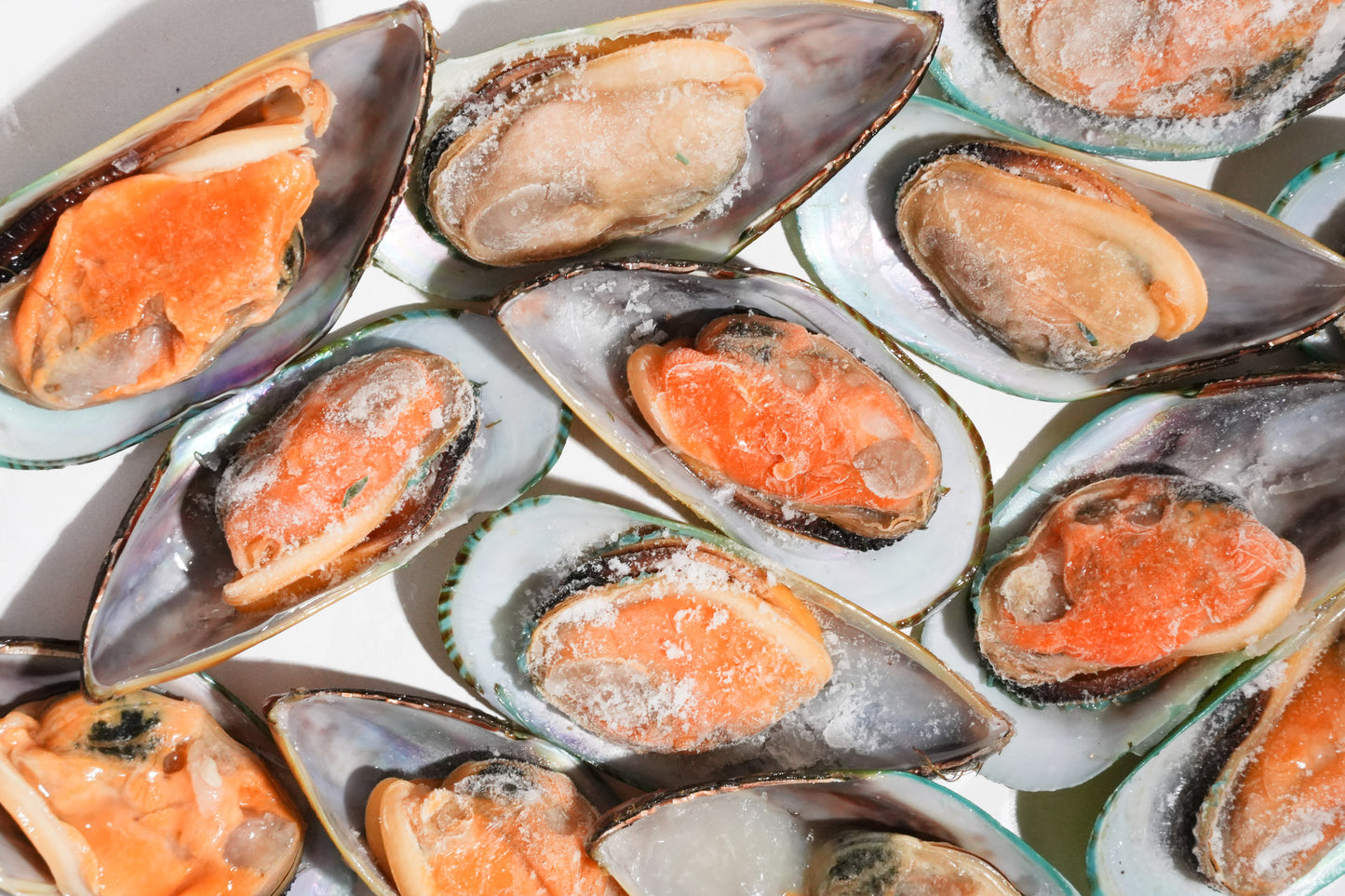 New Zealand Greenshell Frozen Mussels 新西兰半壳熟冻青口贝