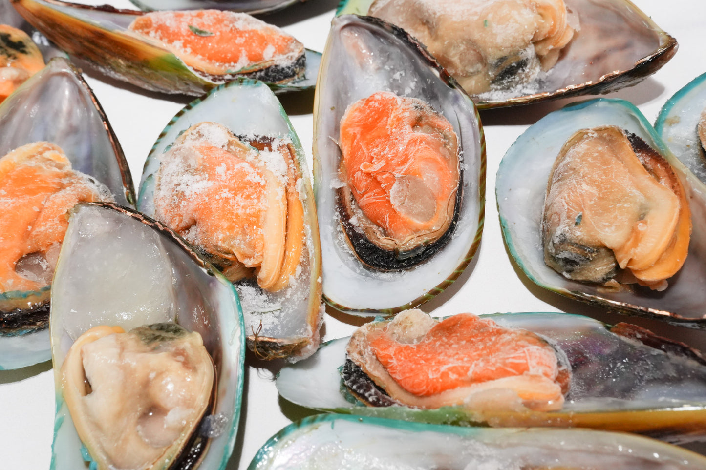 New Zealand Greenshell Frozen Mussels 新西兰半壳熟冻青口贝
