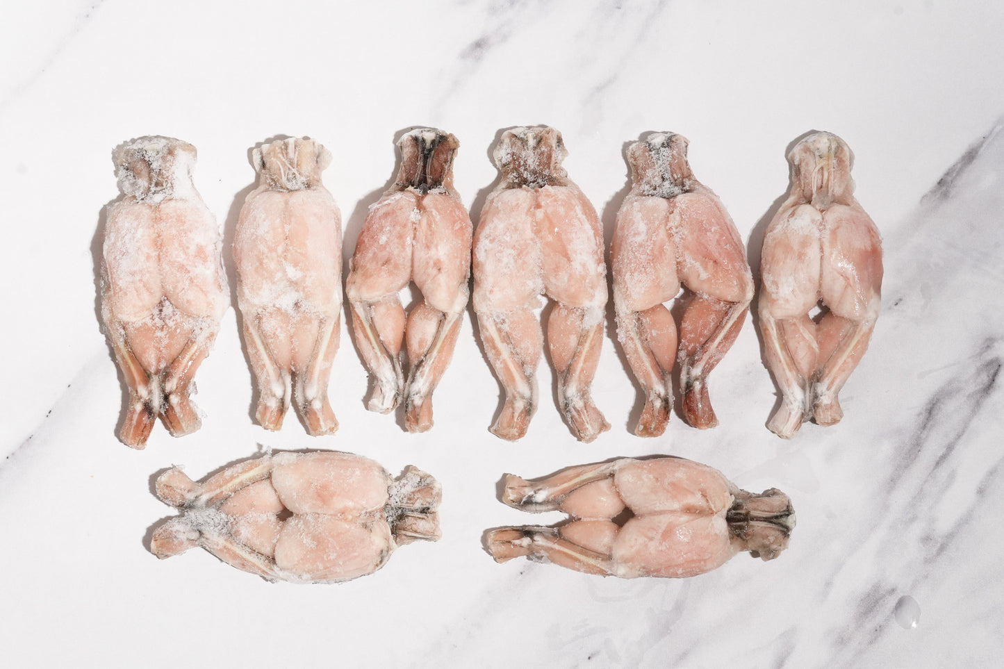 Whole Cleaned Bullfrog Legs 整只淨田雞腿