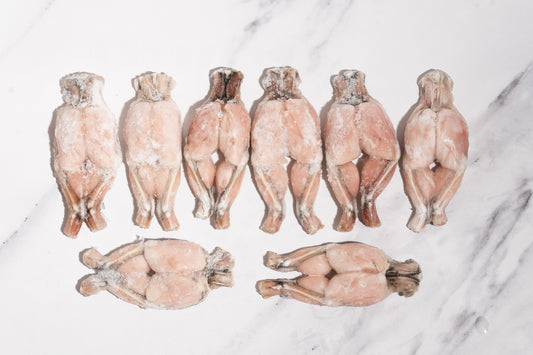 Whole Cleaned Bullfrog Legs 整只净牛蛙腿