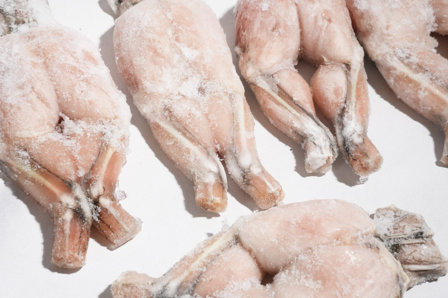 Whole Cleaned Bullfrog Legs 整只淨田雞腿