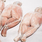 Whole Cleaned Bullfrog Legs 整只淨田雞腿