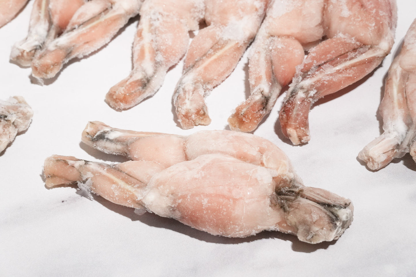 Whole Cleaned Bullfrog Legs 整只淨田雞腿