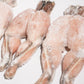 Whole Cleaned Bullfrog Legs 整只淨田雞腿