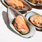 New Zealand Greenshell Frozen Mussels 新西兰半壳熟冻青口贝