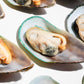 New Zealand Greenshell Frozen Mussels 新西兰半壳熟冻青口贝