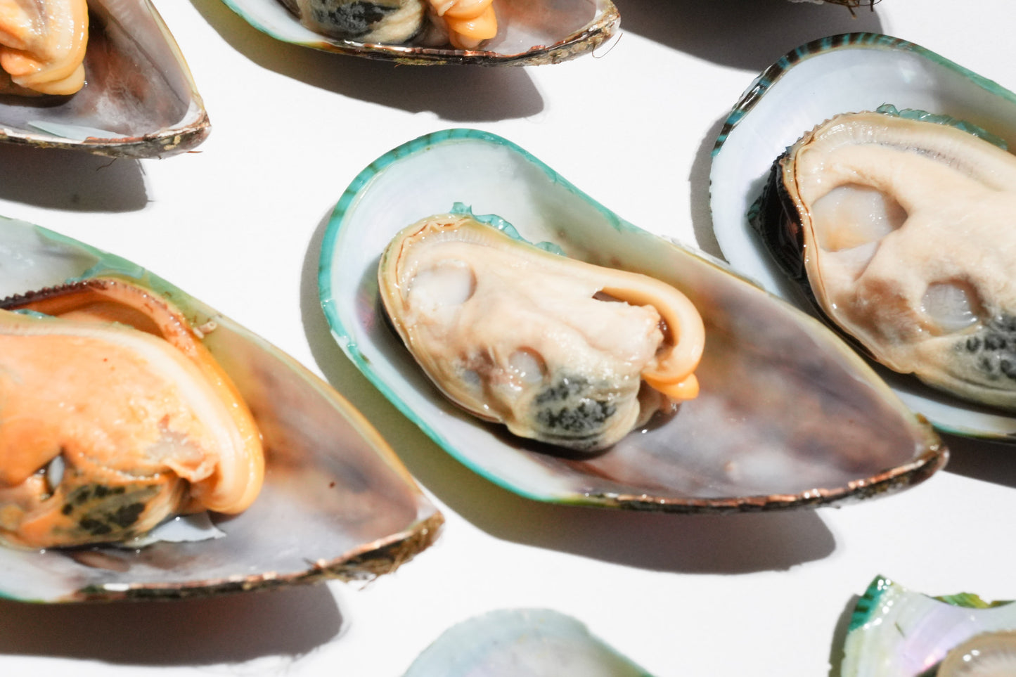 New Zealand Greenshell Frozen Mussels 新西兰半壳熟冻青口贝