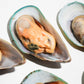 New Zealand Greenshell Frozen Mussels 新西兰半壳熟冻青口贝