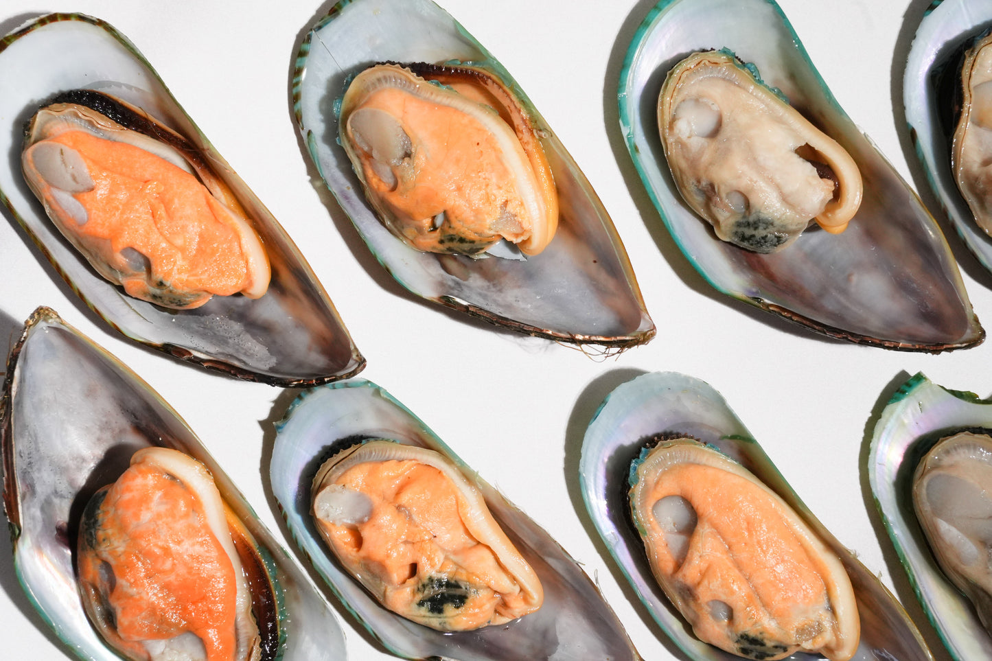 New Zealand Greenshell Frozen Mussels 新西兰半壳熟冻青口贝