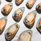 New Zealand Greenshell Frozen Mussels 新西兰半壳熟冻青口贝