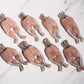 Whole Cleaned Bullfrog Legs 整只淨田雞腿