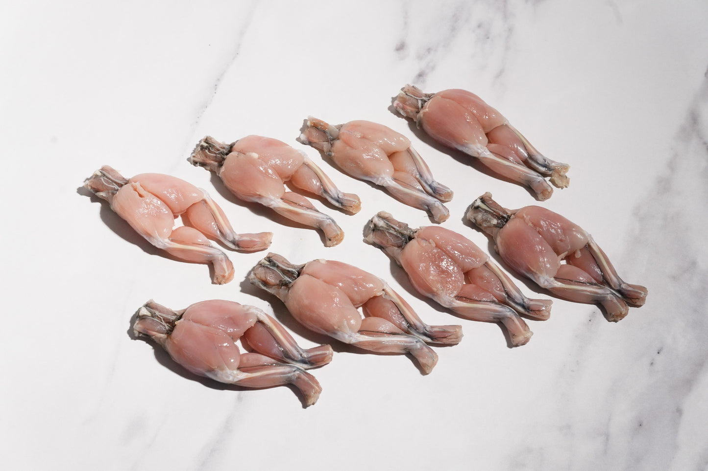 Whole Cleaned Bullfrog Legs 整只淨田雞腿