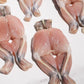 Whole Cleaned Bullfrog Legs 整只淨田雞腿