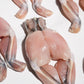 Whole Cleaned Bullfrog Legs 整只淨田雞腿