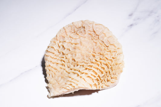 Beef Honeycomb Tripe 金钱肚