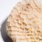 Beef Honeycomb Tripe 金钱肚