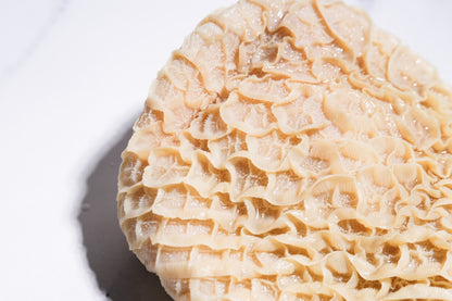 Beef Honeycomb Tripe 牛金錢肚