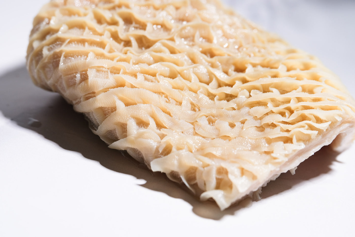 Beef Honeycomb Tripe 金钱肚