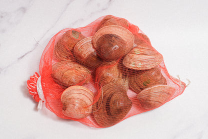 Live Cherrystone Clam 活櫻桃貝