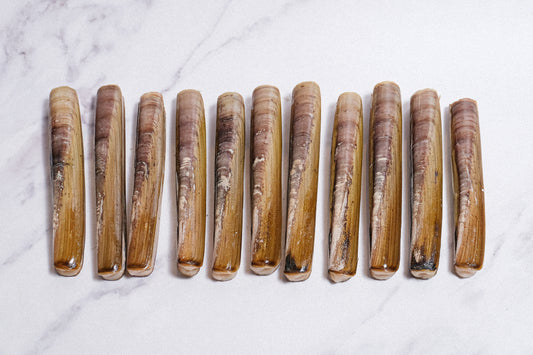 Live Large Razor Clams 活竹蟶