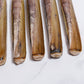 Live Large Razor Clams 活竹蟶