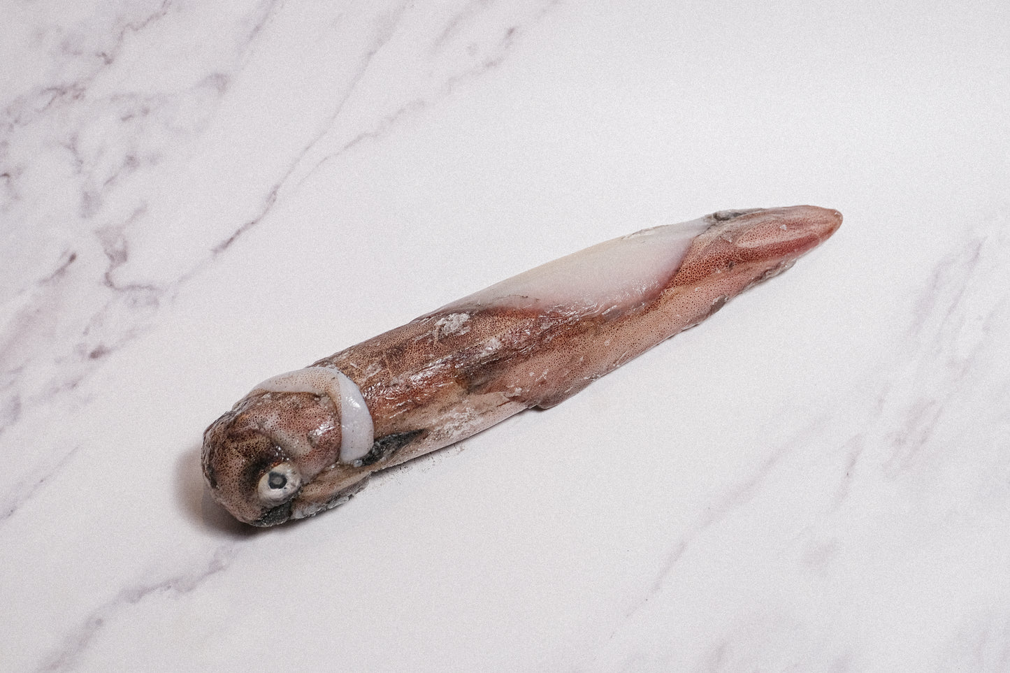 Wild-Caught Sashimi Grade Whole Squid 野生船冻整条刺身级鱿鱼