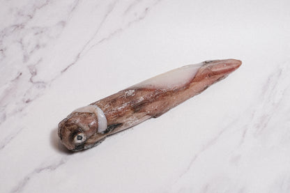 Wild-Caught Sashimi Grade Whole Squid 野生船凍整條刺身級魷魚