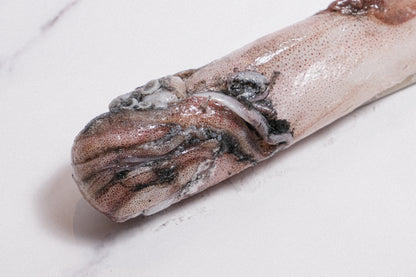 Wild-Caught Sashimi Grade Whole Squid 野生船凍整條刺身級魷魚