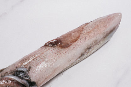 Wild-Caught Sashimi Grade Whole Squid 野生船凍整條刺身級魷魚