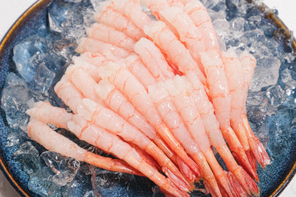 Ama Ebi Sashimi Sweet Prawn 刺身甜蝦