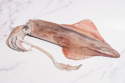 Wild-Caught Sashimi Grade Whole Squid 野生船凍整條刺身級魷魚