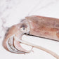 Wild-Caught Sashimi Grade Whole Squid 野生船冻整条刺身级鱿鱼