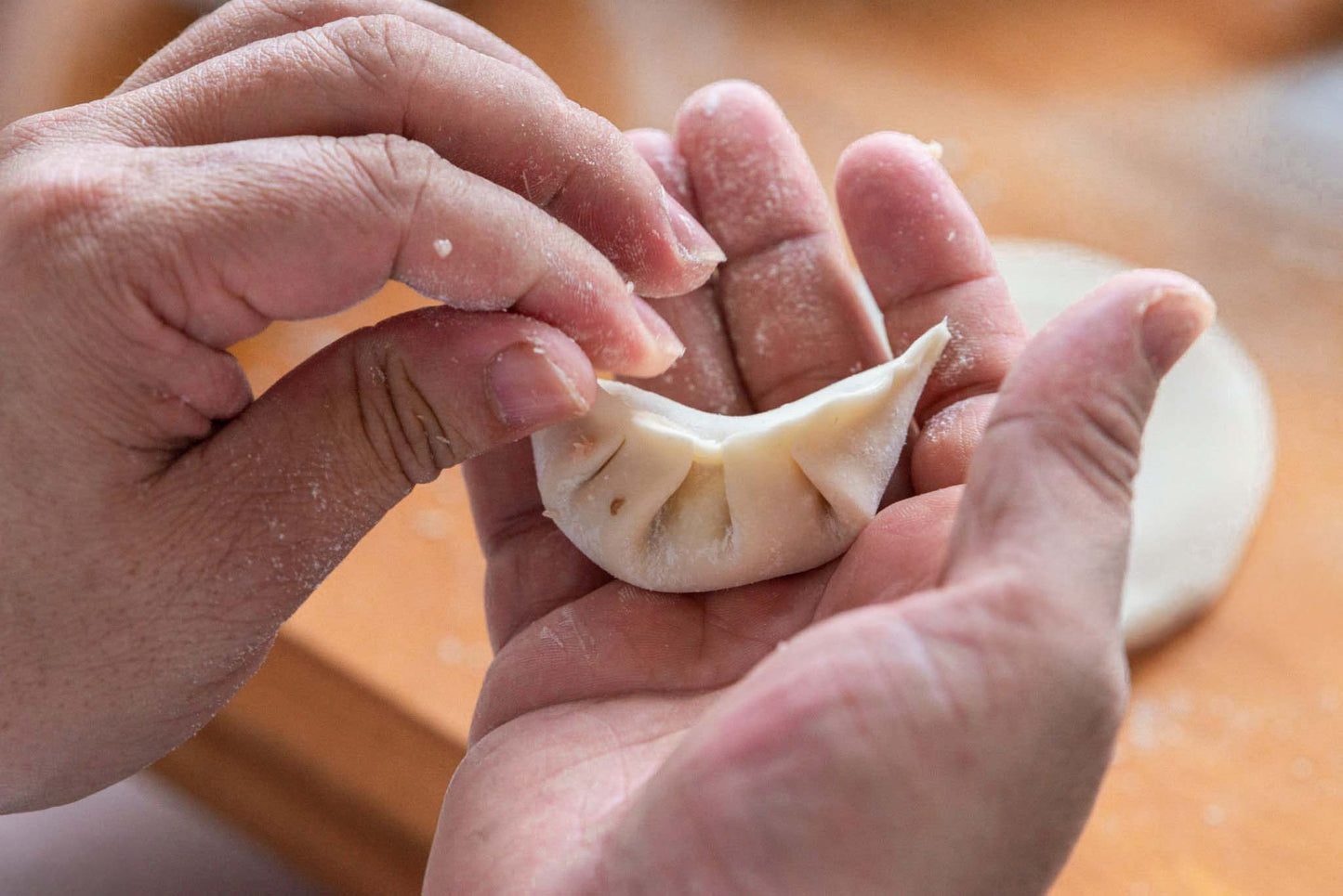 Dumpling / Wonton DIY Kit 水饺/云吞食材组合