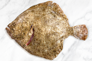 Celeplate Pass Sale: Fresh Turbot 新鲜多宝鱼