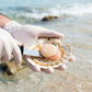 Japanese Sashimi King Scallops 刺身级日本扇贝贝柱