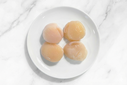 Japanese Sashimi King Scallops 刺身級日本扇貝貝柱