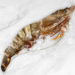 Giant Wild South Atlantic Tiger Prawn 巨型野生老虎蝦