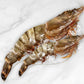 Giant Wild South Atlantic Tiger Prawn 巨型野生老虎虾
