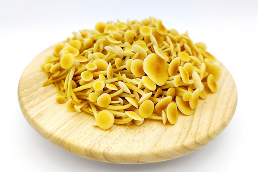 Golden Enoki Mushroom 新鮮黃金釘菇