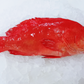 Fresh Red Grouper 紅瓜子石斑魚