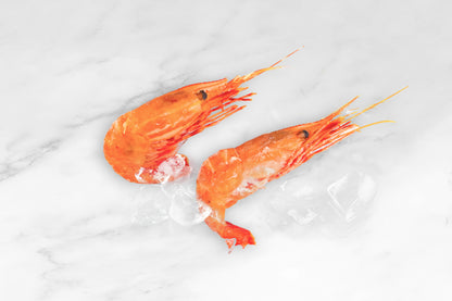 Large Sashimi Botan Ebi 刺身級牡丹蝦