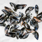 Live Cornish Mussels 康沃爾郡活青口貝