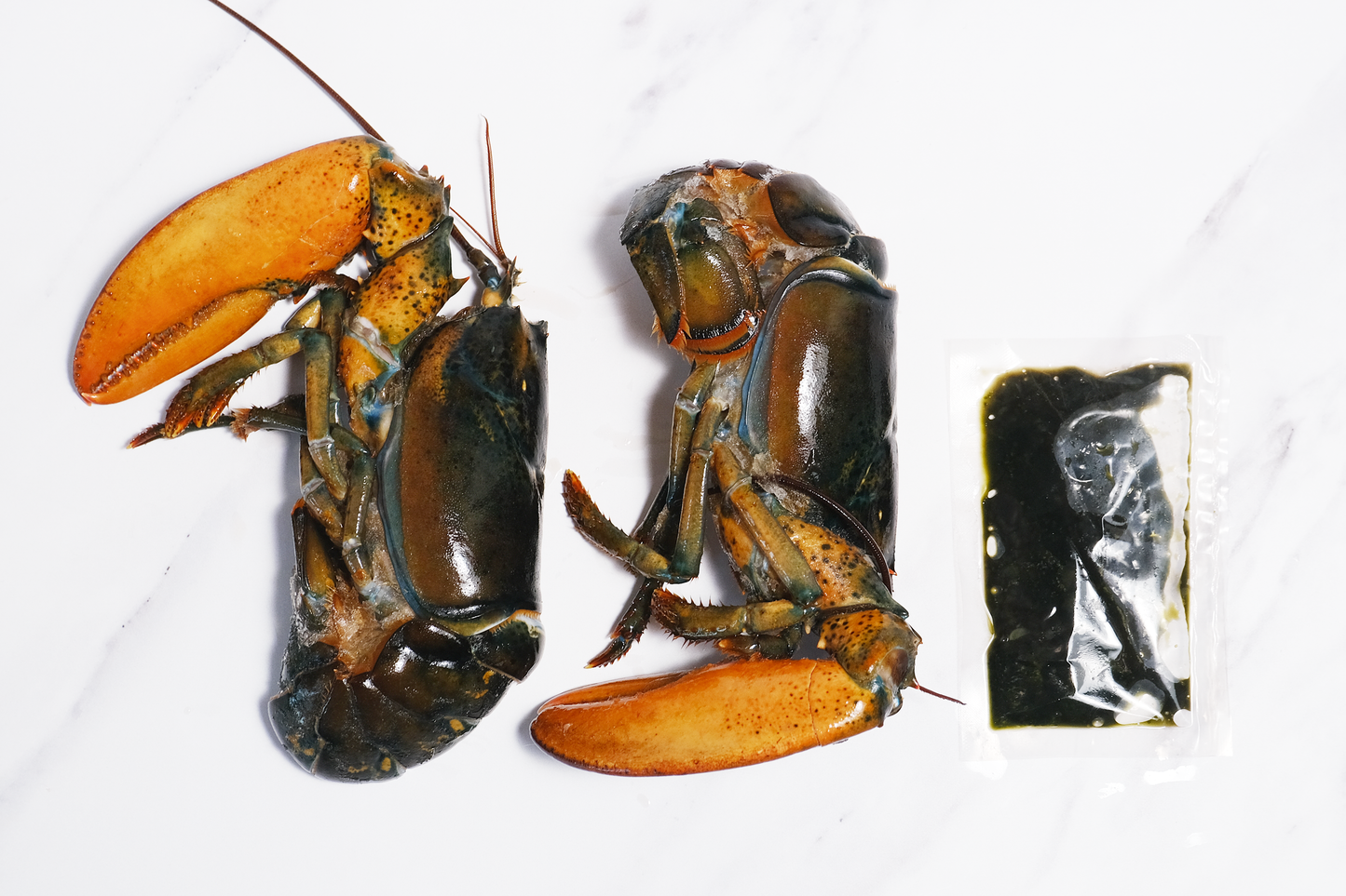 Live North American Lobster 活波士顿龙虾