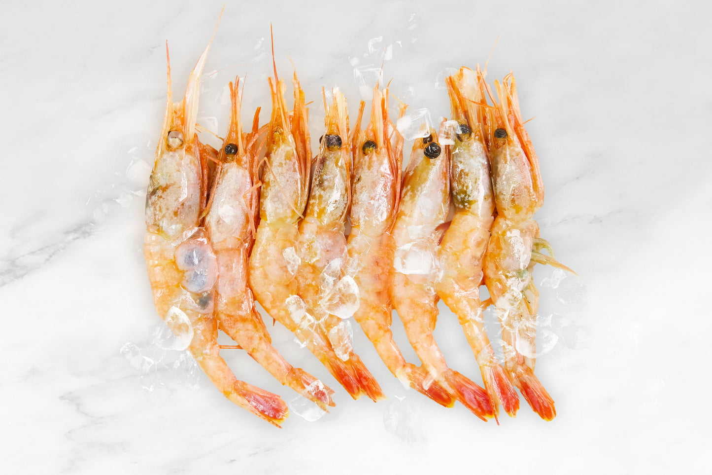 Norway Wild Whole Ama Ebi Sweet Prawn 刺身挪威野生甜虾