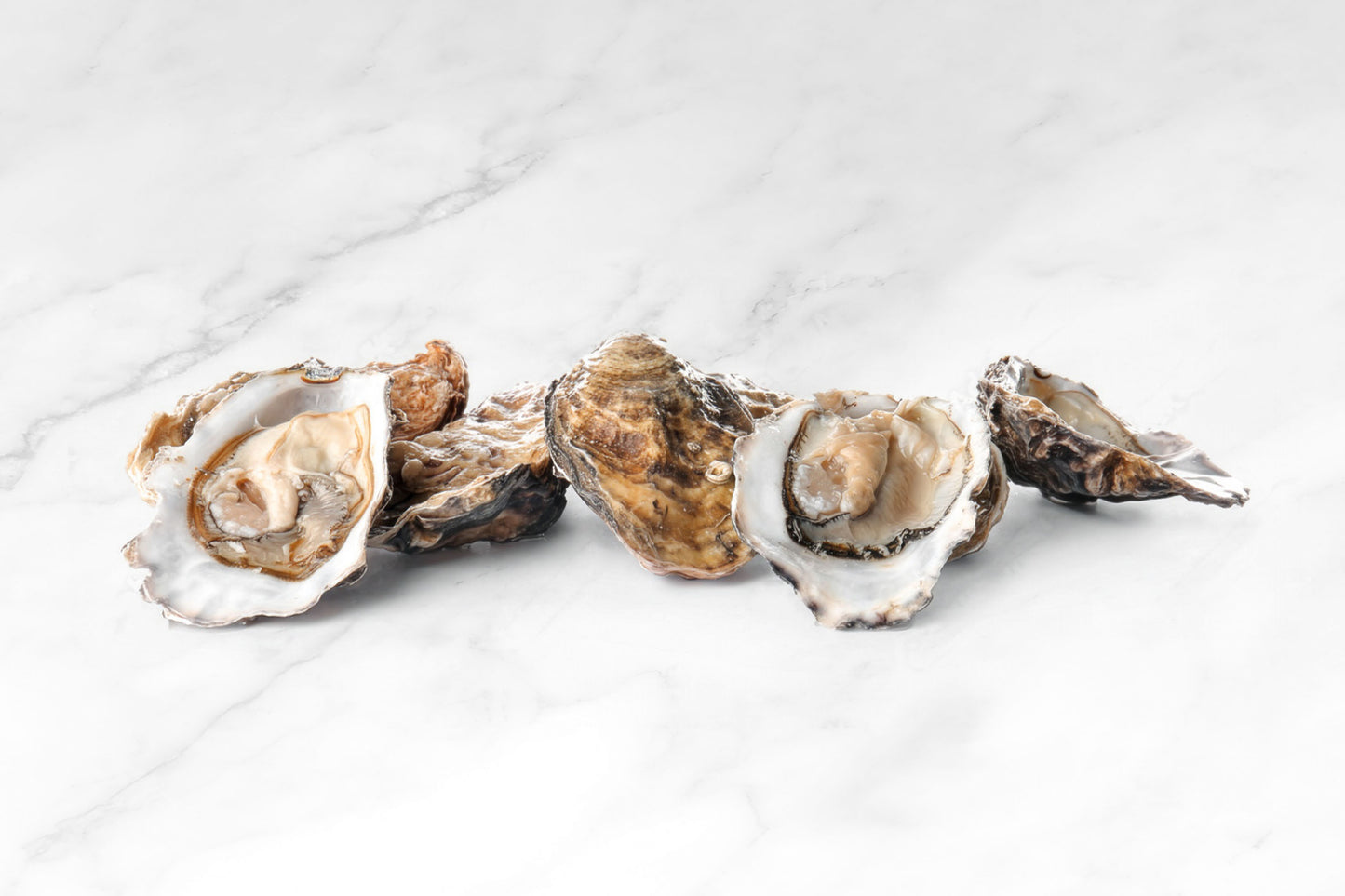 Live French Gillardeau Oyster 6 pcs 活法國吉拉朵生蠔6只