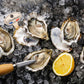 Live French Gillardeau Oyster 6 pcs 活法國吉拉朵生蠔6只