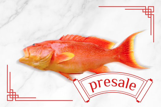 Pre-Sale: Wild Caught Leopard Grouper 野生燕星斑