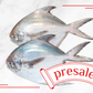 Pre-Sale: Wild Caught Silver Pomfret 大号野生银鲳鱼